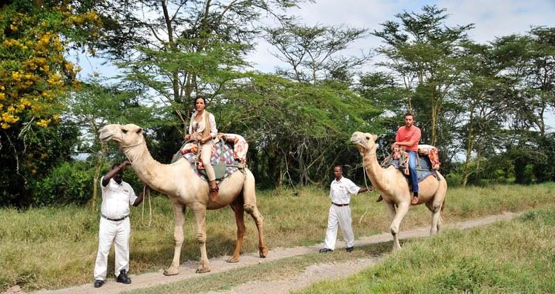 Sweetwaters Serena Camp Nanyuki Extérieur photo