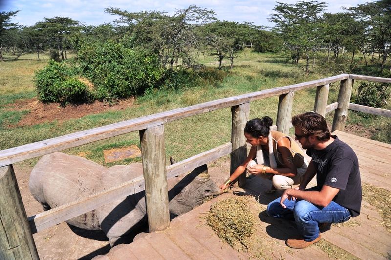Sweetwaters Serena Camp Nanyuki Extérieur photo