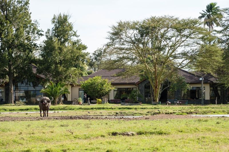 Sweetwaters Serena Camp Nanyuki Extérieur photo