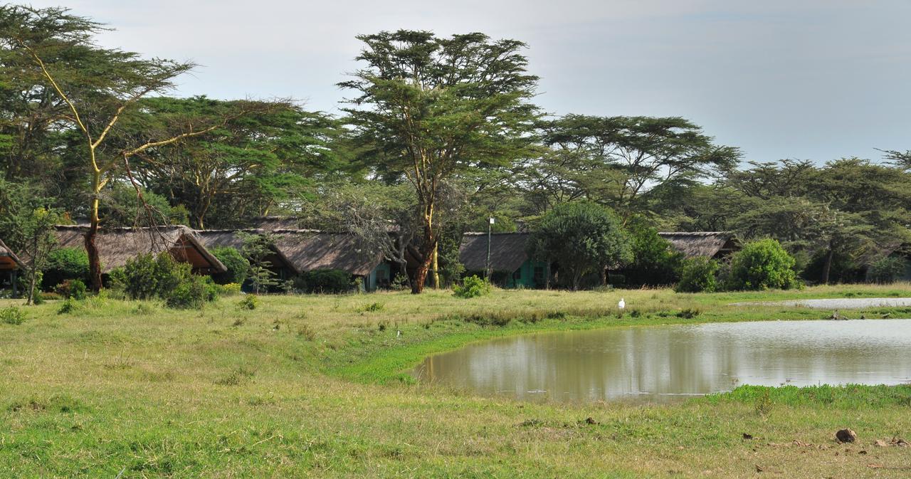 Sweetwaters Serena Camp Nanyuki Extérieur photo