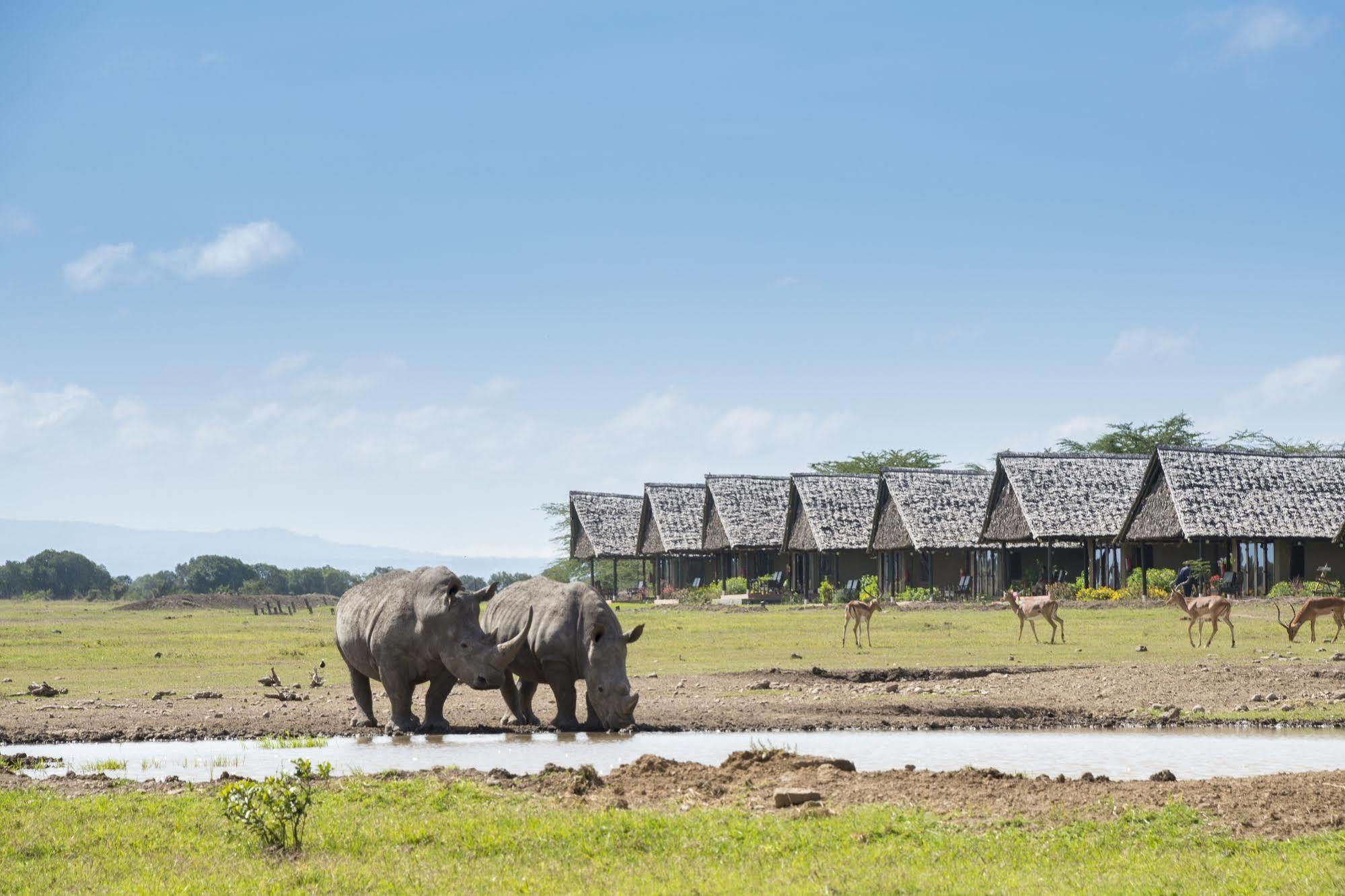 Sweetwaters Serena Camp Nanyuki Extérieur photo